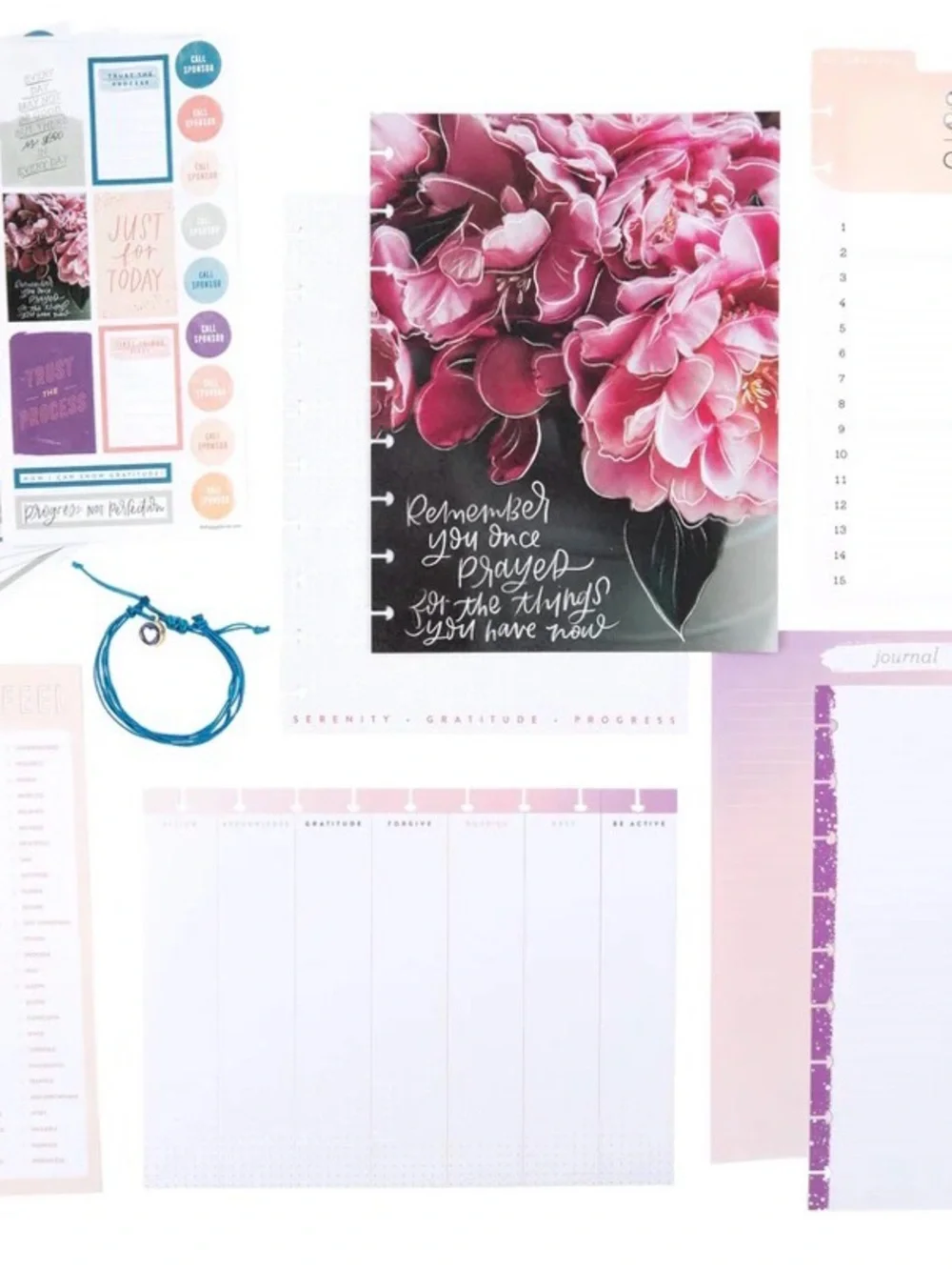 NWT-The Happy Planner-Recovery Progress Classic Planner Companion